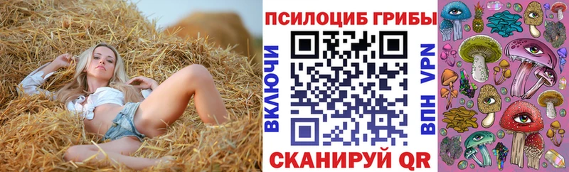 где купить наркоту Долинск Псилоцибиновые грибы ЛСД
